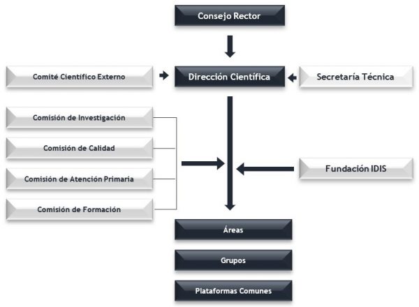 estructura-idis estructura-idis