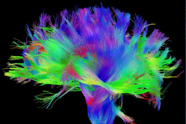 neurociencias neurociencias