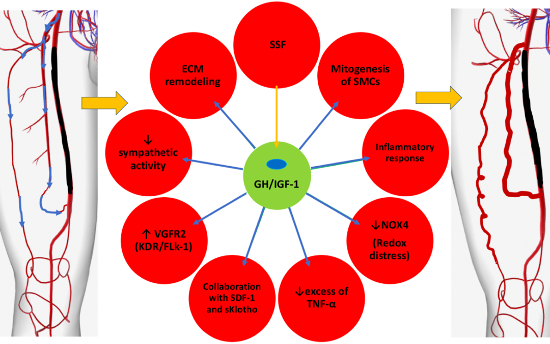 AC19 – Angiología y Cirugía Vascular (VARGROS)