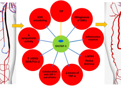 AC19 – Angiología y Cirugía Vascular (VARGROS)