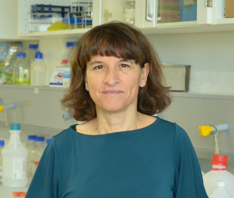E033 – Virus e cancro