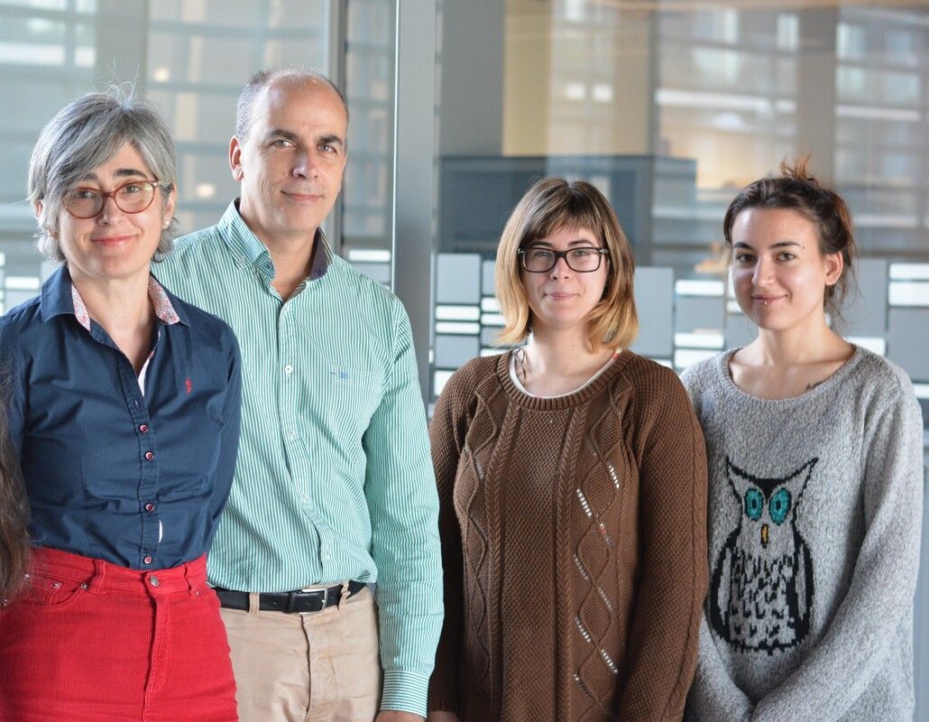 Grupo E019