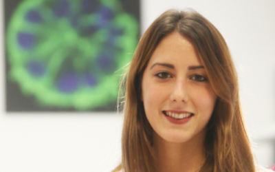 Las tesis del IDIS: nanotecnología aplicada a la oncología traslacional