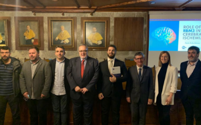 Tesis IDIS: el papel de la proteína RBM3 en la isquemia cerebral