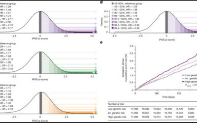 Tres investigadores del Laboratorio de Neurociencias participan en un estudio publicado en Nature que identifica los genes capaces de anticipar un ictus