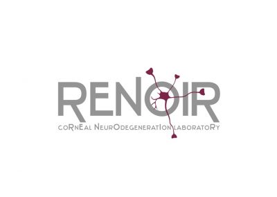 E052 – Neurodegeneración corneal