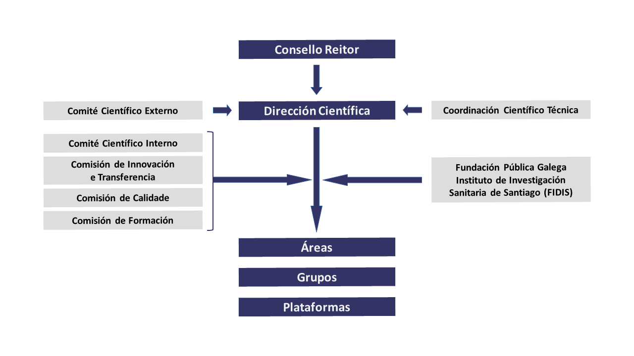 Organigrama.IDIS.2024.Gallego