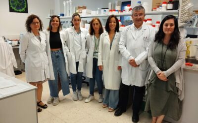 El IDIS desarrolla un modelo que predice la respuesta al tratamiento de inmunoterapia en pacientes de cáncer de pulmón no microcítico