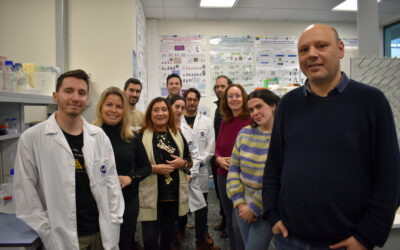 Personal investigador del IDIS apunta al gen PTK2B como posible predictor en el desarrollo de obesidad