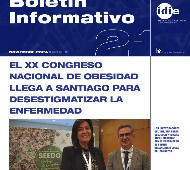 IDIS monthly newsletter – November 2024