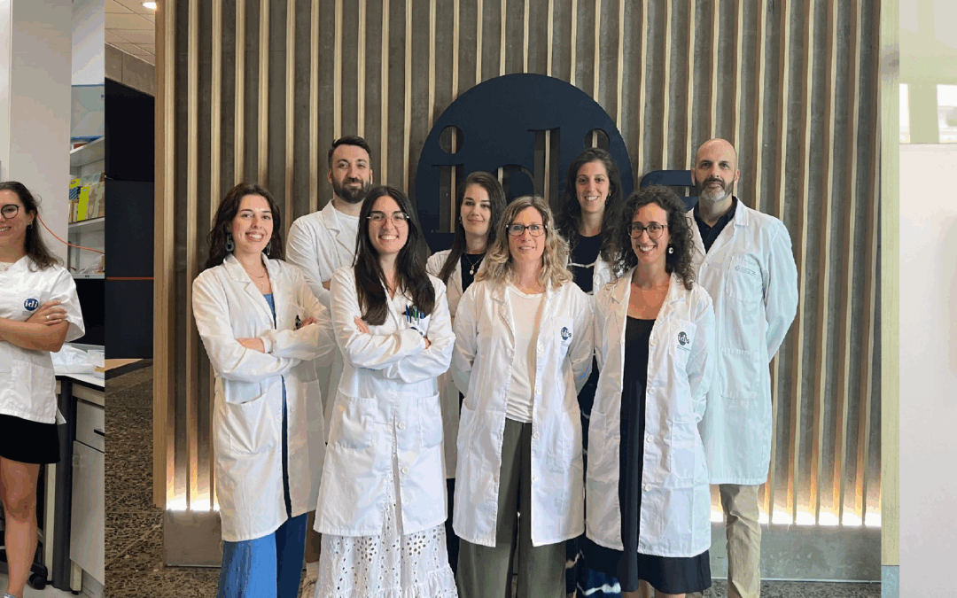 Tres proyectos del IDIS obtienen las Ayudas a la Investigación Médica de la Fundación Mutua Madrileña