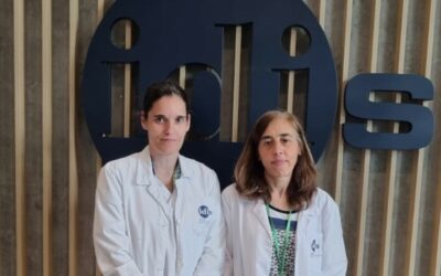 La Plataforma de Proteómica del IDIS participa en un proyecto que desarrolla una terapia para la recuperación neurológica de los pacientes tras una hemorragia cerebral