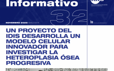 Boletín mensual del IDIS – Noviembre 2025