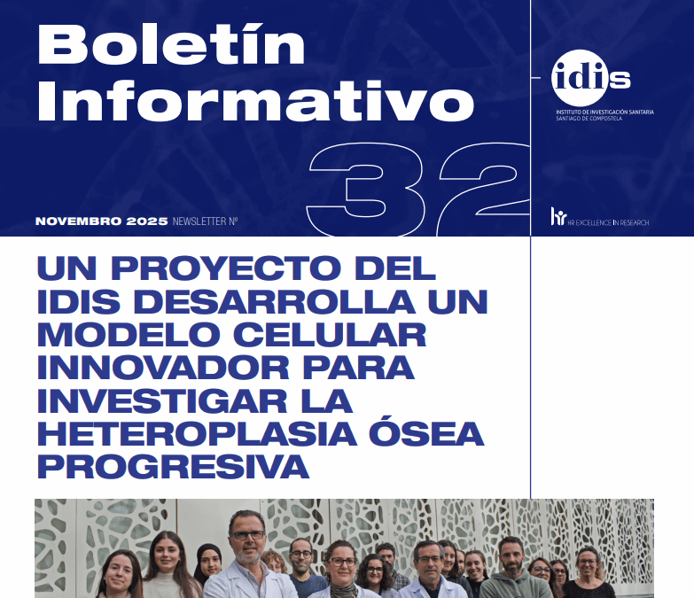 Boletín mensual del IDIS – Noviembre 2025
