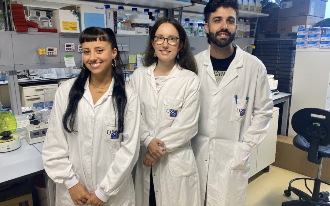 El IDIS identifica nuevos factores biológicos implicados en el crecimiento del aneurisma de aorta abdominal