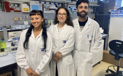 El IDIS identifica nuevos factores biológicos implicados en el crecimiento del aneurisma de aorta abdominal