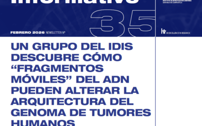 Boletín mensual del IDIS – Febrero 2026