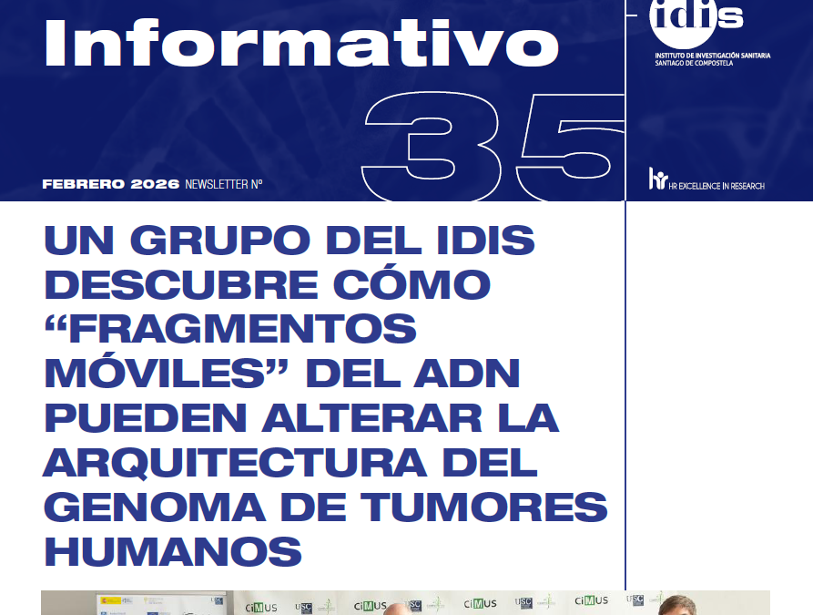 Boletín mensual del IDIS – Febrero 2026