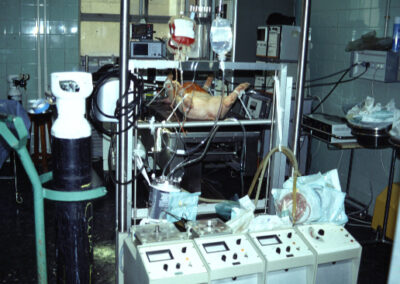 E070 – Cirugía experimental