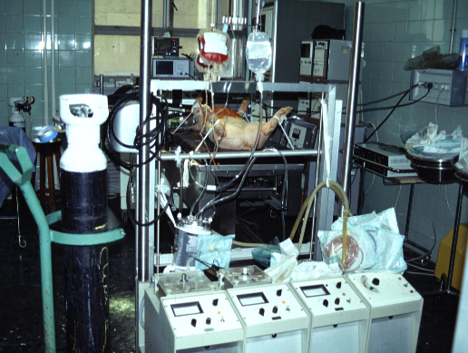 E070 – Cirugía experimental