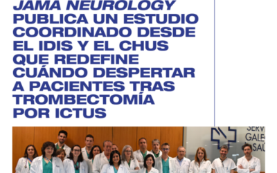 Boletín mensual del IDIS – Mayo
