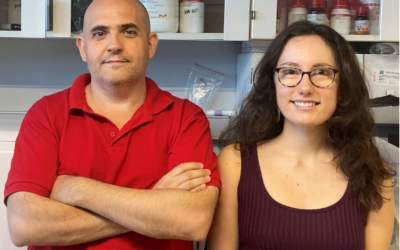 El exceso de fructosa puede debilitar las defensas naturales de las arterias frente a la calcificación
